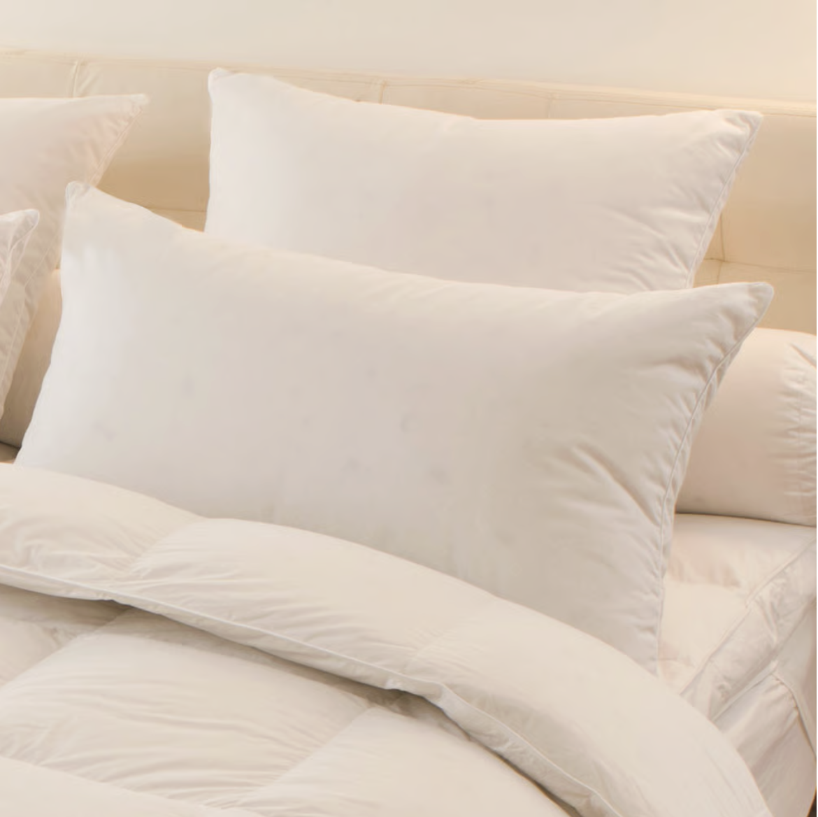 Oreiller drouault melior carre et rectangulaire